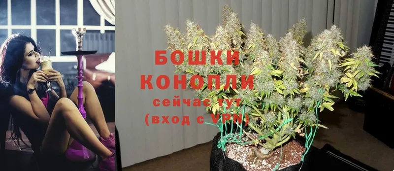 Каннабис SATIVA & INDICA  купить   Минеральные Воды 